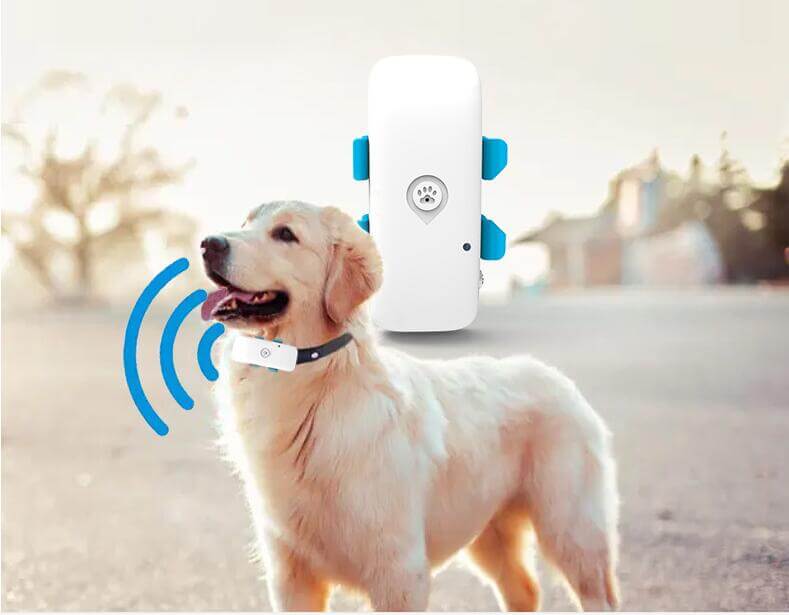 Rastreador GPS 4G para dueños de mascotas para monitorear la ubicación de sus animales con facilidad