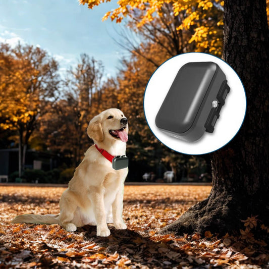 4g pet gps tracker PET06 Cat Dog Locating