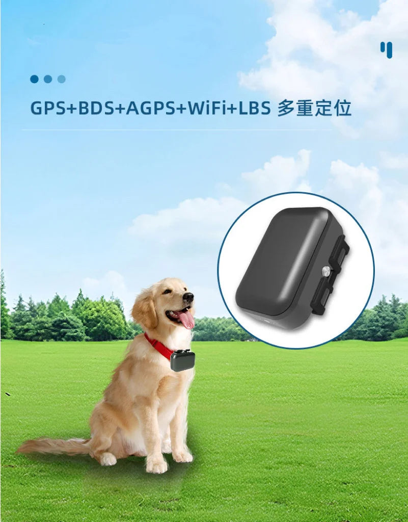 4g pet gps tracker PET06 Cat Dog Locating